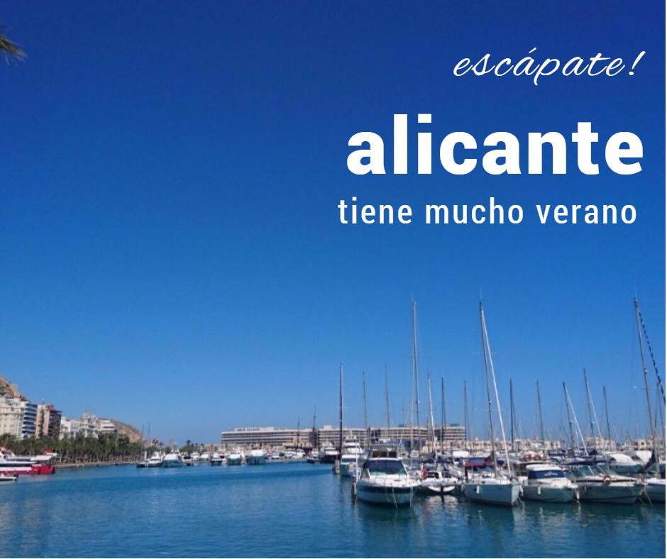 LucesdeCatedral's tweet photo. Te lo prometemos! no hemos usado filtros, así es el cielo de #alicante https://t.co/AgosHFHvaJ