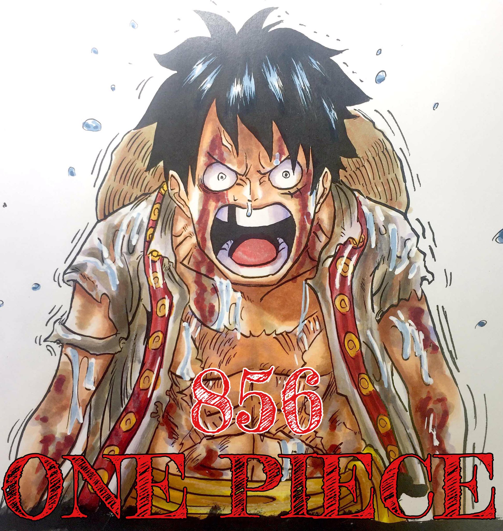 Hatsu S Colorpage 本心を言えよ One Piece 第856話 ウソつき より T Co 5d57xqx7ad Twitter