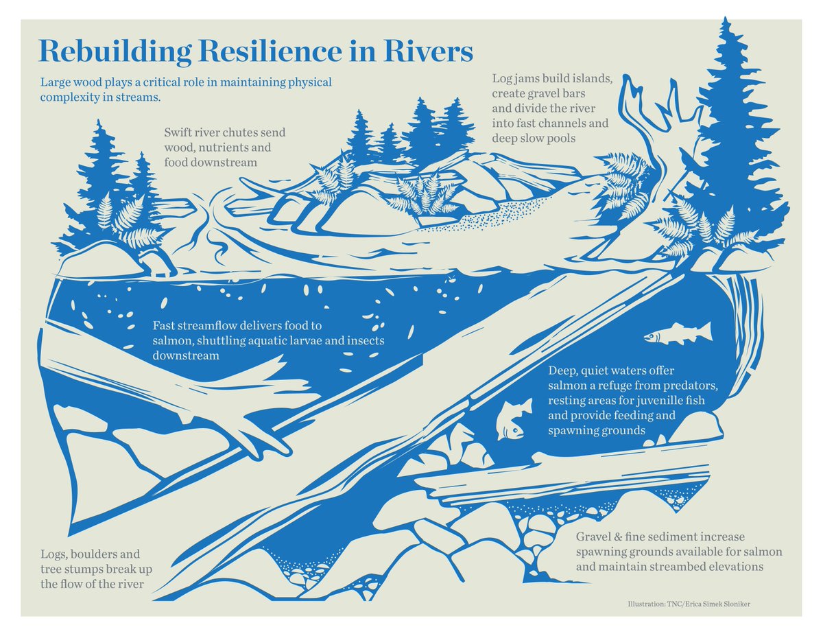 The Nature Conservancy in Washington tweet media