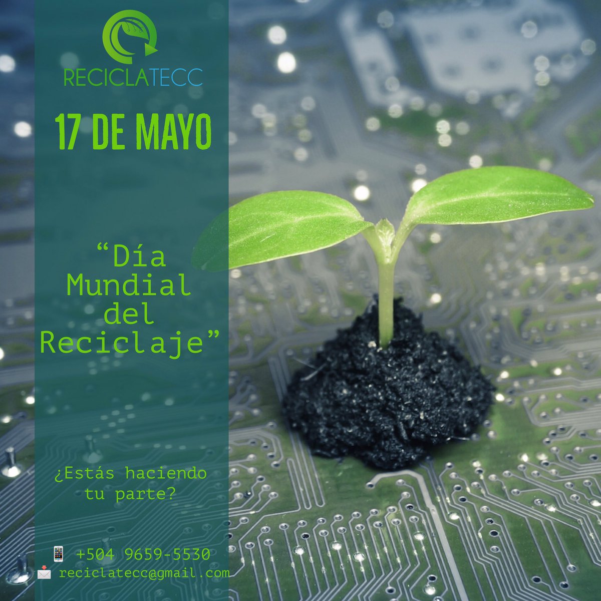 reciclatecc's tweet photo. ♻️¡Hoy 17 de mayo, Día Mundial del Reciclaje!

✅"Debemos hacer que el reciclaje se convierta en una "manera de vivir". -Mario Vargas Llosa. https://t.co/6G353OndMU