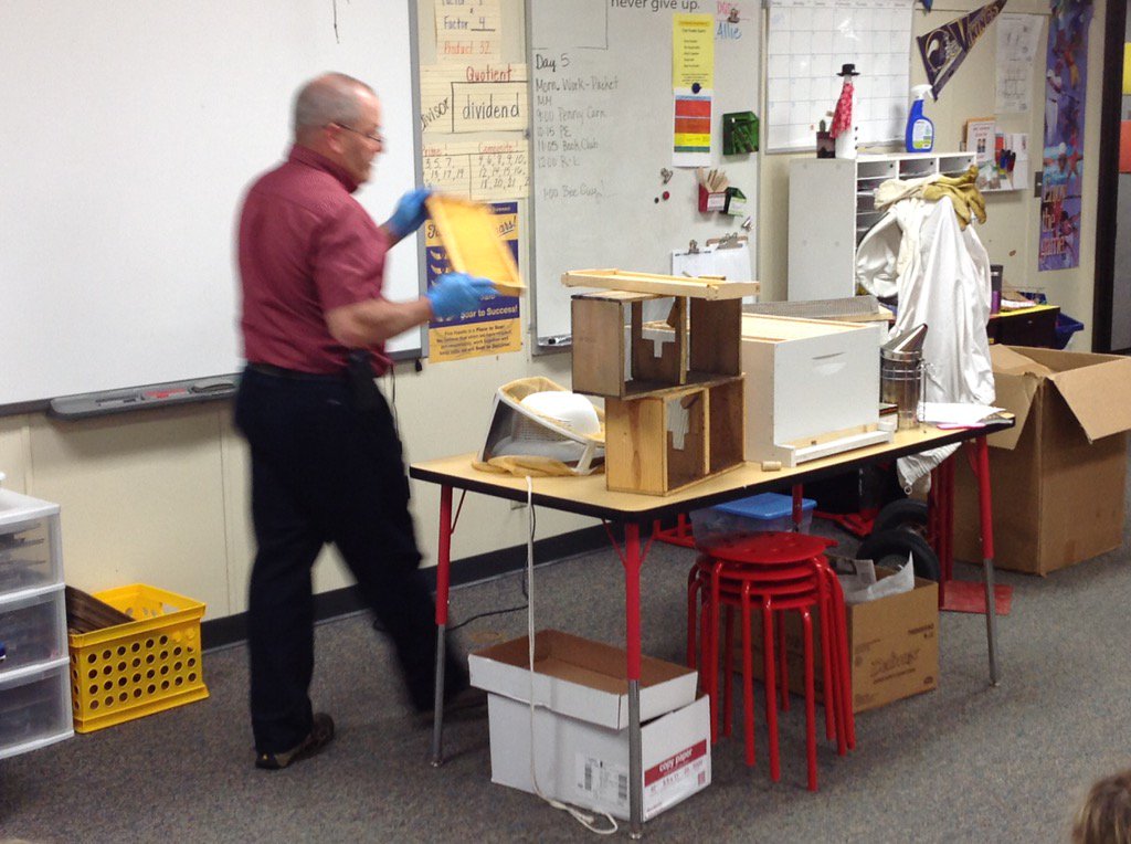 SarahSbowman's tweet photo. Jay the Beekeeper is here to teach us about bees! 
#ee
#fivehawks
#weareplsas https://t.co/dIWJbmrL6b