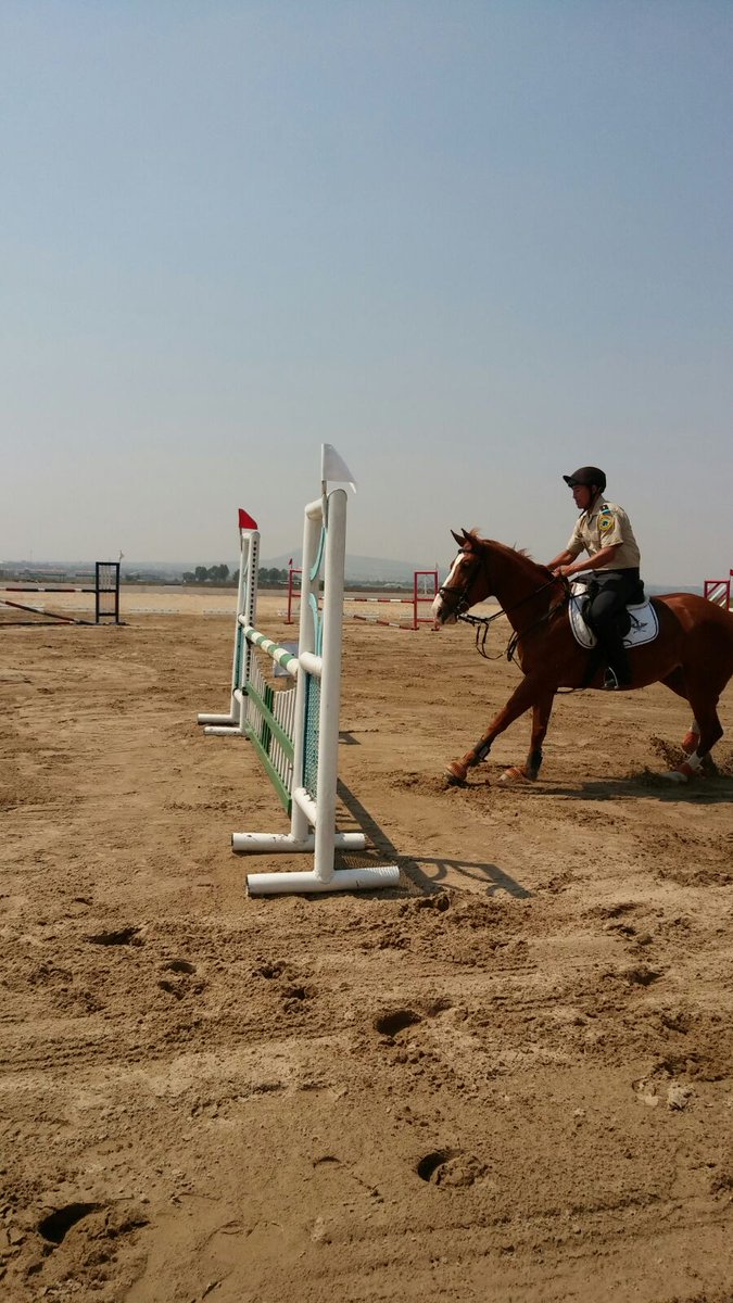 Para concluir el featejo del #DíaDelMaestro el <a href="/Secretario_36/">Rigoberto  Vargas</a> presencian demostración de adiestramiento canino y actividades ecuestres...