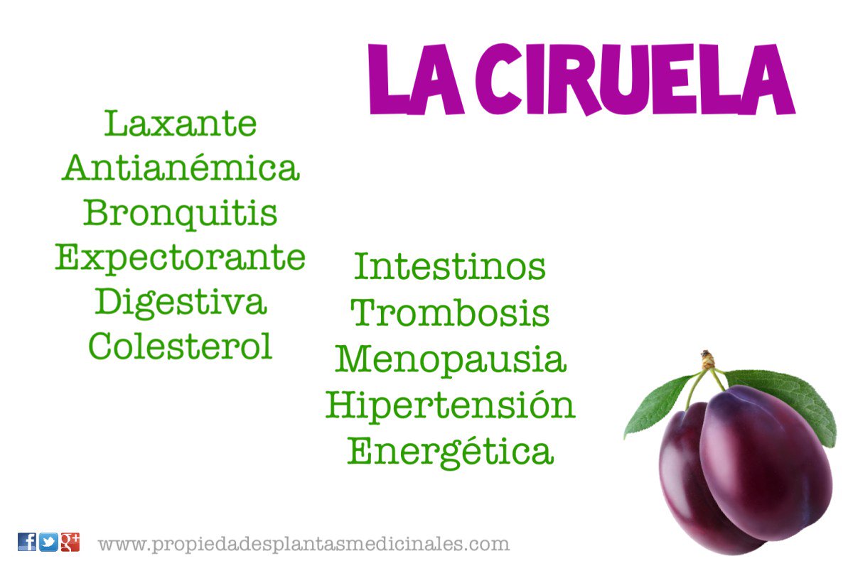 propiplantas's tweet photo. 🍑😮🍑 una mina de oro ✨✨ #estreñimiento #laxante #bronquitis #colesterol #tensión #anemia
https://t.co/EkeJeAxyRm https://t.co/hOSLSz8tq0