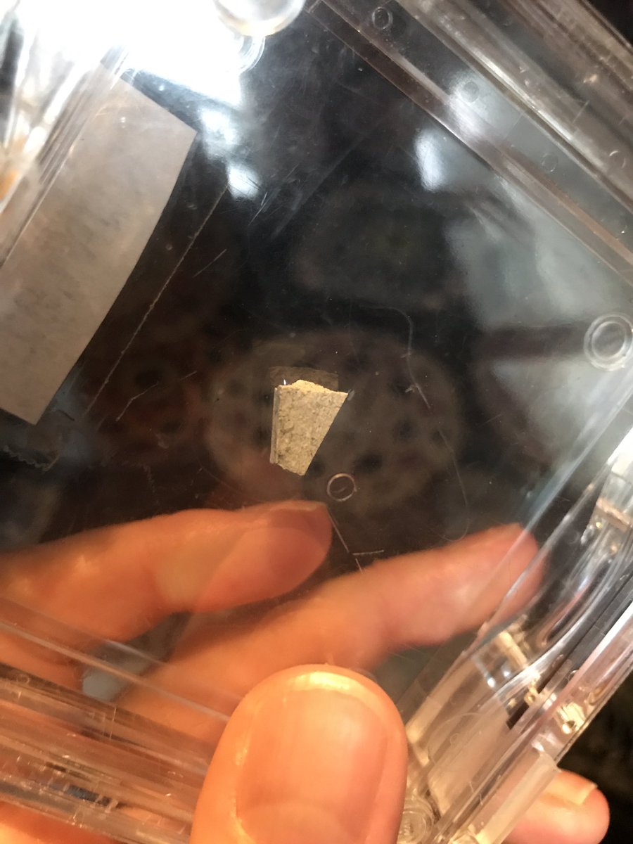 EarthRebecca's tweet photo. Getting to hold a little piece of the moon during Alex Halliday's talk @pintofscience tonight! @ECRPubConnect @OxUniEarthSci #pint17 https://t.co/ixeqR4v34r