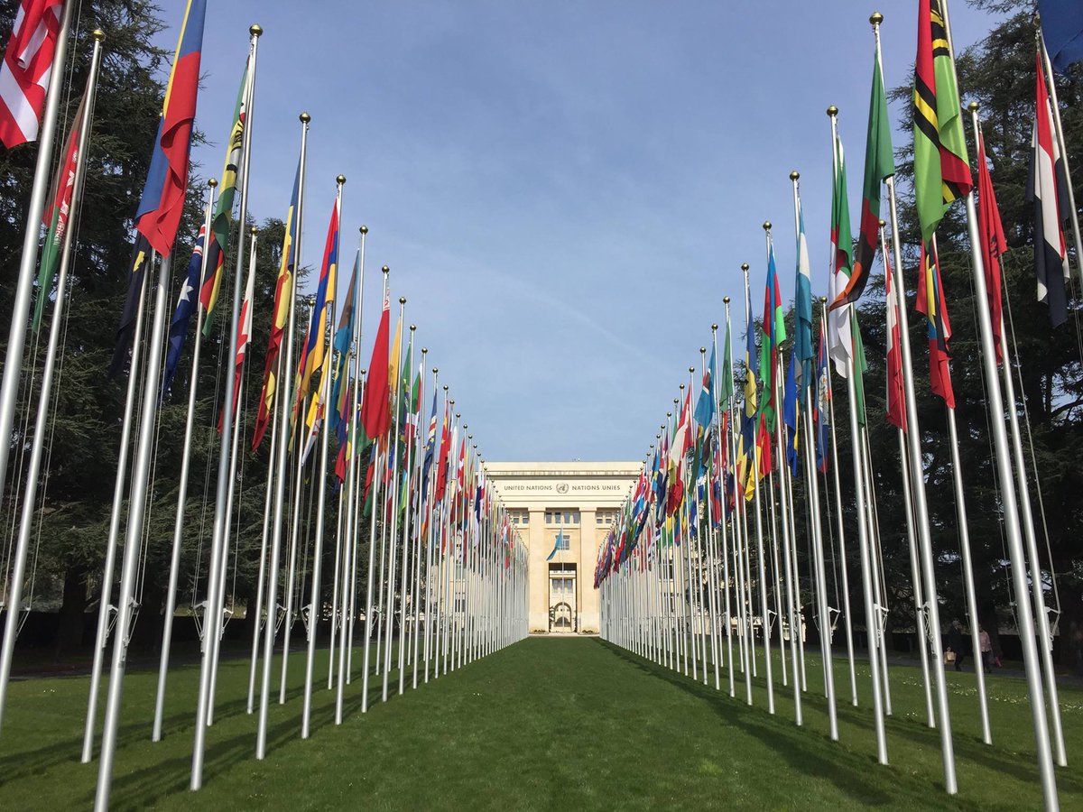 Public International Law & Policy Group (PILPG) tweet media