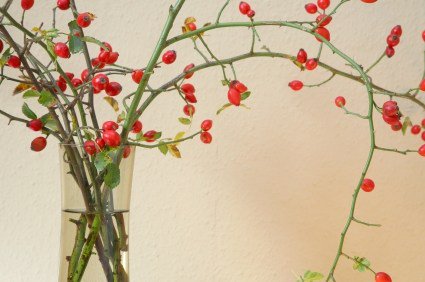 aromaliving's tweet image. Learn Traditional Aromatherapy anaturalperspective.ca/2017/05/17/lea…