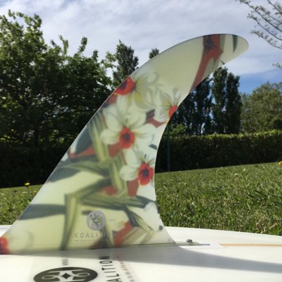 #NouvellePhotoDeProfil