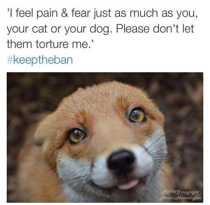 KLPamperParties's tweet image. 