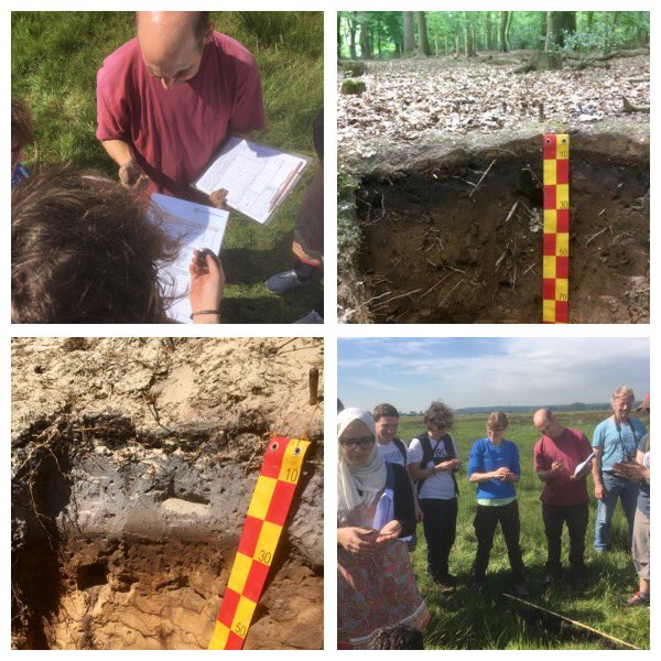 stephanmantel's tweet photo. Field day: description and classification of soils and landscapes around Wageningen #Springschool2017 #ISRIC #soil 
#WRB2015 #beauty #nature https://t.co/thEx05414E