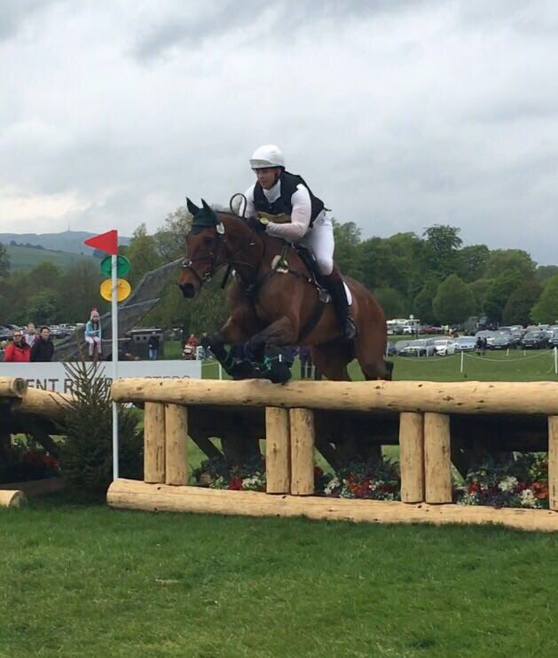 Jay Kane Eventing tweet media