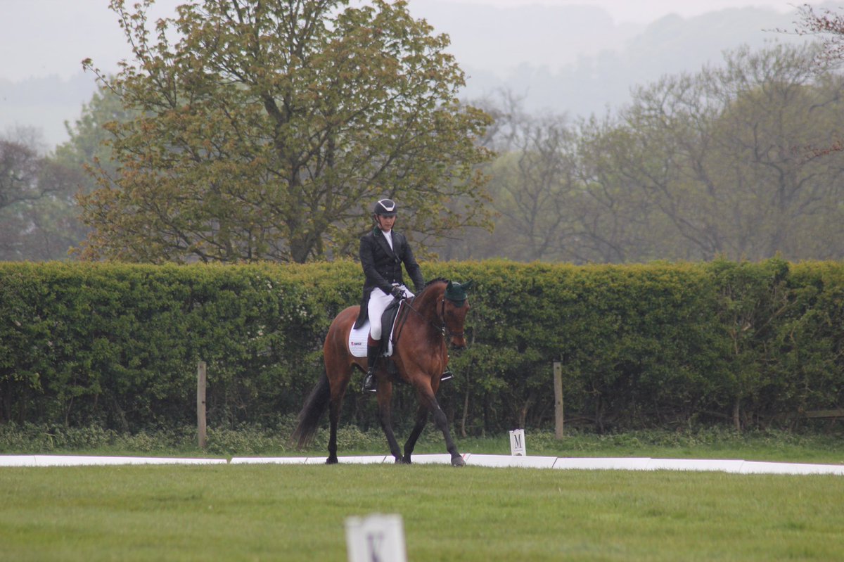 Jay Kane Eventing tweet media