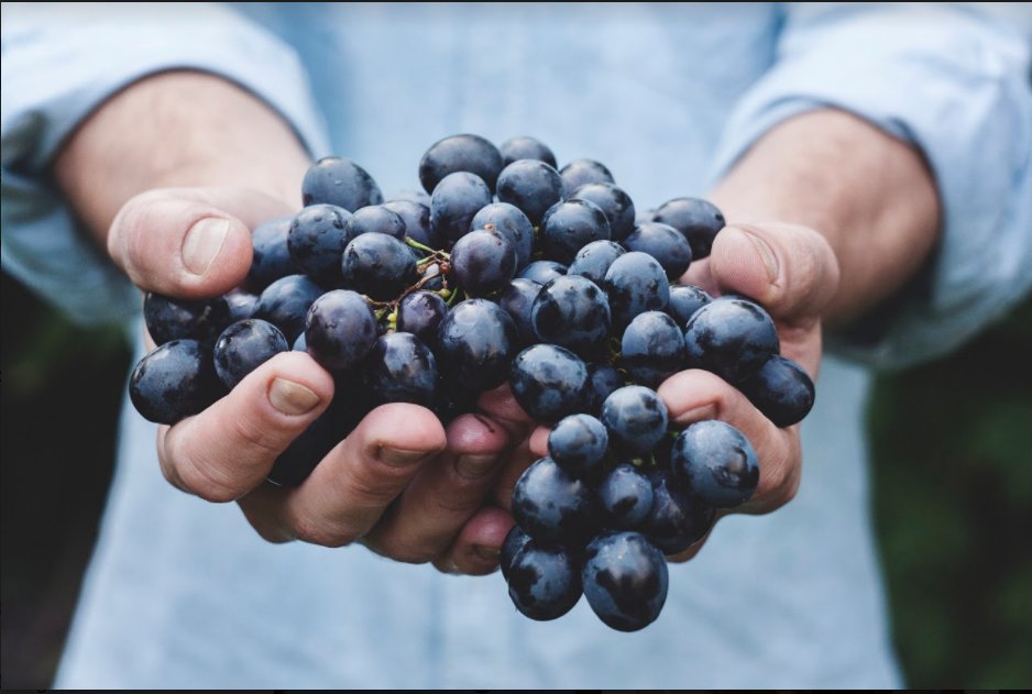 prfmkt's tweet photo. Fun Fact: Don't wash your blueberries until you plan to eat them. Washing them sooner speeds up spoiling them. https://t.co/3MLJLrMsrr
