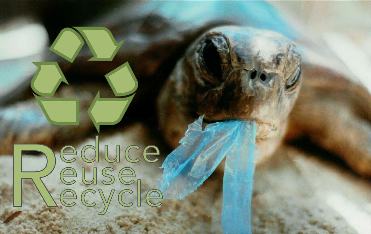 Reduce, Reuse &amp; Recycle!
Today, #internationalrecyclingday we ask you to join the 3Rs and help protect wildlife!