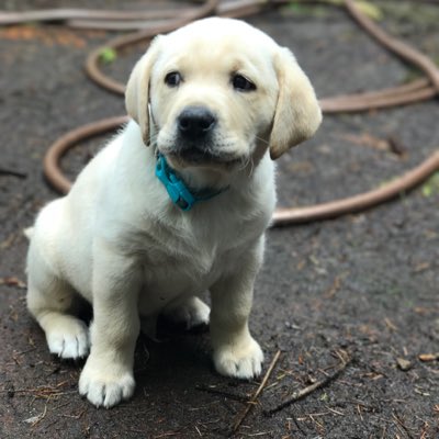 JeffJacksonUCSC's tweet image. #NewProfilePic