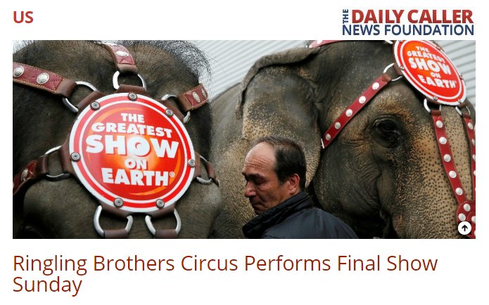 OrcaSOS's tweet photo. #RinglingBros #Circus Performs Final Show Sunday
@TedCGoodman
https://t.co/pTh8MMnr9d
#EndCAP #Animals4Entertainment
#SeaWorld #Blackfish https://t.co/ii32xgSXd7