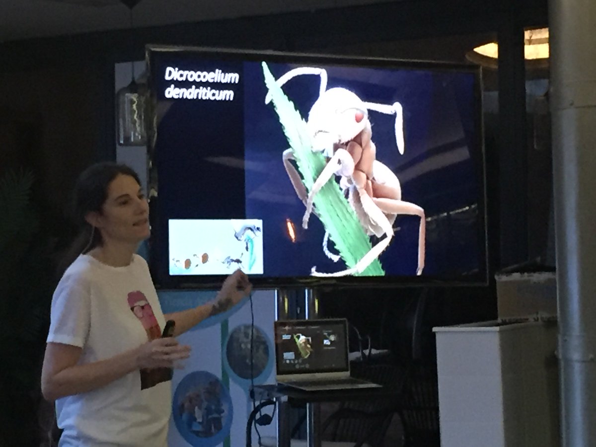 equevedoguti's tweet photo. Elena Carretón @ECarreton #Pint17ES cerrando #pint17gc hablando de nuestros "amigos" parásitos, de todas las formas y sabores 😋 https://t.co/wJS1SSXV8s