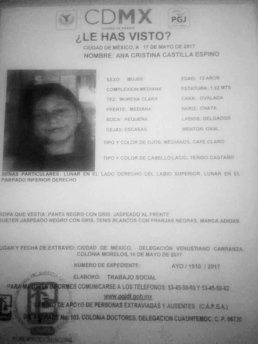 Patty López de la Cerda tweet media