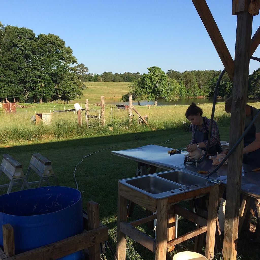 triplejfarmsc's tweet photo. Not a bad way to spend the morning. #processingday #pasturedpoultry #goodfarmstuff #eatlocal #knowyourfarmer https://t.co/7NCV8iRjZ2 https://t.co/v3Sya7r0Jx