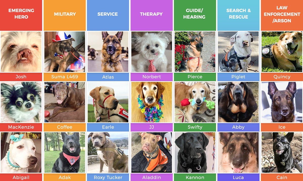HeroDogAwards tweet picture