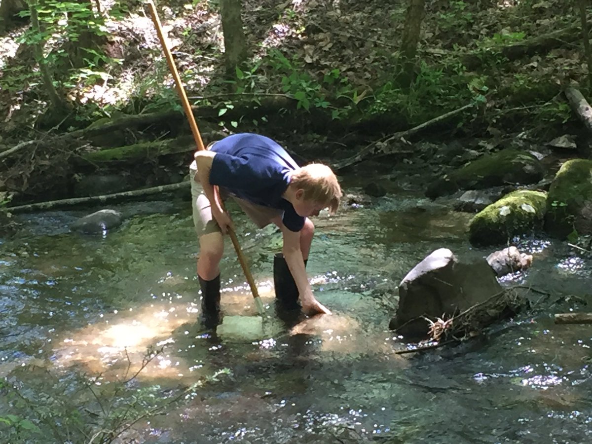 GSMNationalParkInfo tweet media