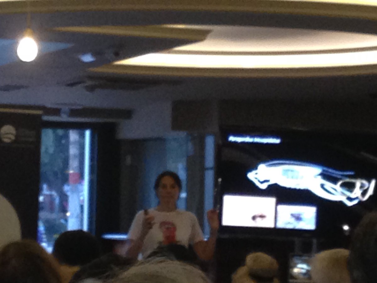 NisaBuset's tweet photo. #Pint17ES #Pint17GC @ECarreton "no echemos al gato de casa". Increíble como se puede hacer tan interesante una charla de parásitos!! https://t.co/fCaKUmD2JX