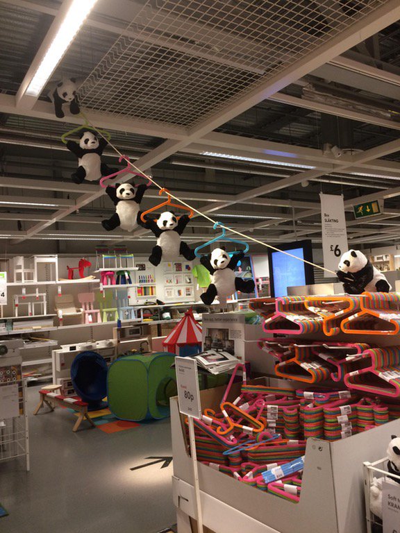 Cpliante's tweet photo. Mission panda évasion 2.0

#troll #joke #blague #blaguedujour #ikea #panda https://t.co/hWCe6Pf8w4