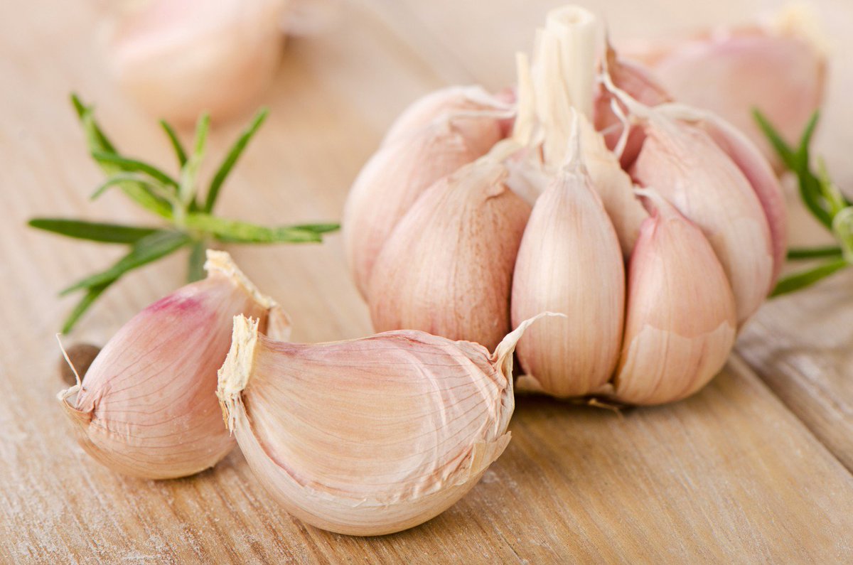 learningherbs's tweet photo. “No other herb comes close to the multiple system actions of garlic, its antibiotic activity &amp; its immune-potentiating power” Stephen Buhner https://t.co/QQ6OGKuD83