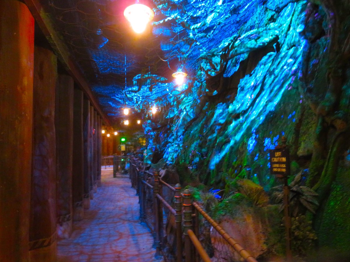 BrandonBlogs_'s tweet photo. The Flight of Passage and Na'vi River Journey in Pandora are both incredible! #Pandora #ExplorePandora #WaltDisneyWorld #flightofpassage https://t.co/X8HgZFqYNi