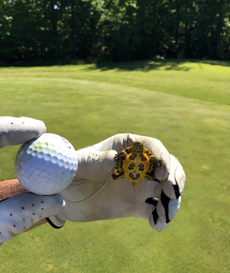 gordon_us's tweet photo. This little guy was spotted @ the #SAMEDC golf tourn yesterday trying to join @jjacobs108's team! Great day of golf w/ OCMI & CB Design! https://t.co/JpUfThejDT