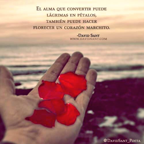 Nereida_70's tweet photo. Un alma capaz de eso, que no provoque lágrimas, sino que las convierta en pétalos... Maravilloso, que pocas almas hay así... https://t.co/AOSqvSh1IU