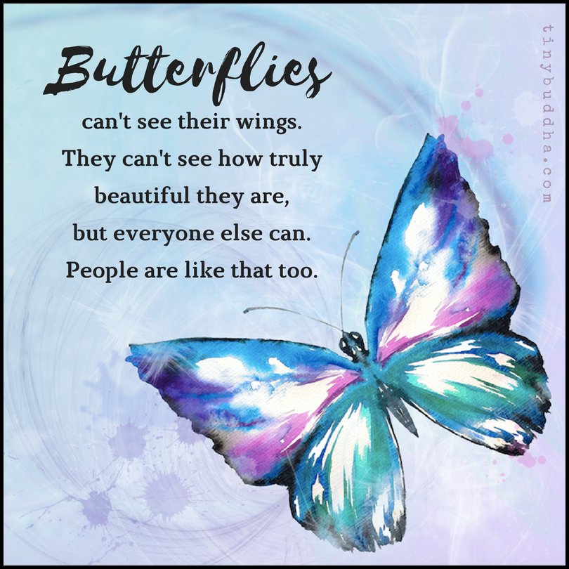 METAL FRIDGE MAGNET Butterflies Can't See Wings Beauty People Like That Saying 