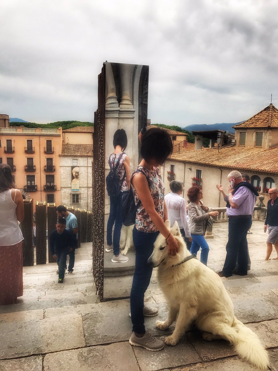 meblanch's tweet photo. Trossets d' avui.. #Tempsdeflors2017 #girona @LikeGirona @GironaIn @turisme_gi https://t.co/cDohrMEVav