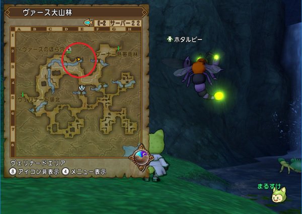 まるすけ まんまる堂 A Twitter ホタルビーがヴァイス大山林に出現中です ６時８分確認です これ新規場所ですね 見つけた人すごい