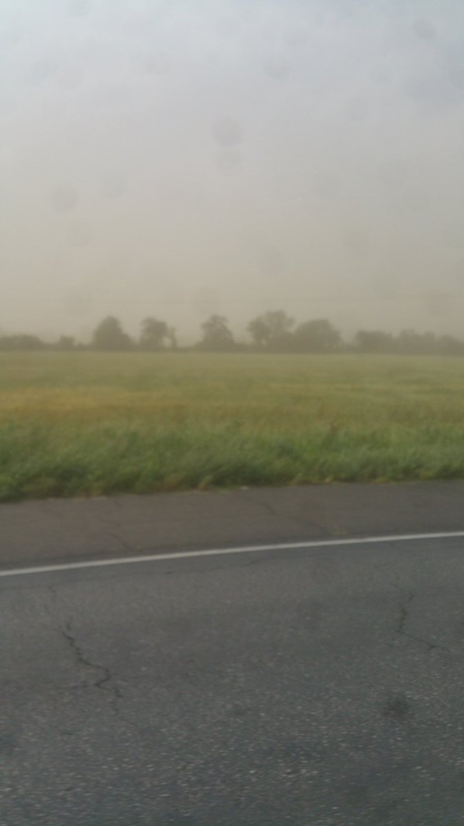 Dust storms in the bootheal today