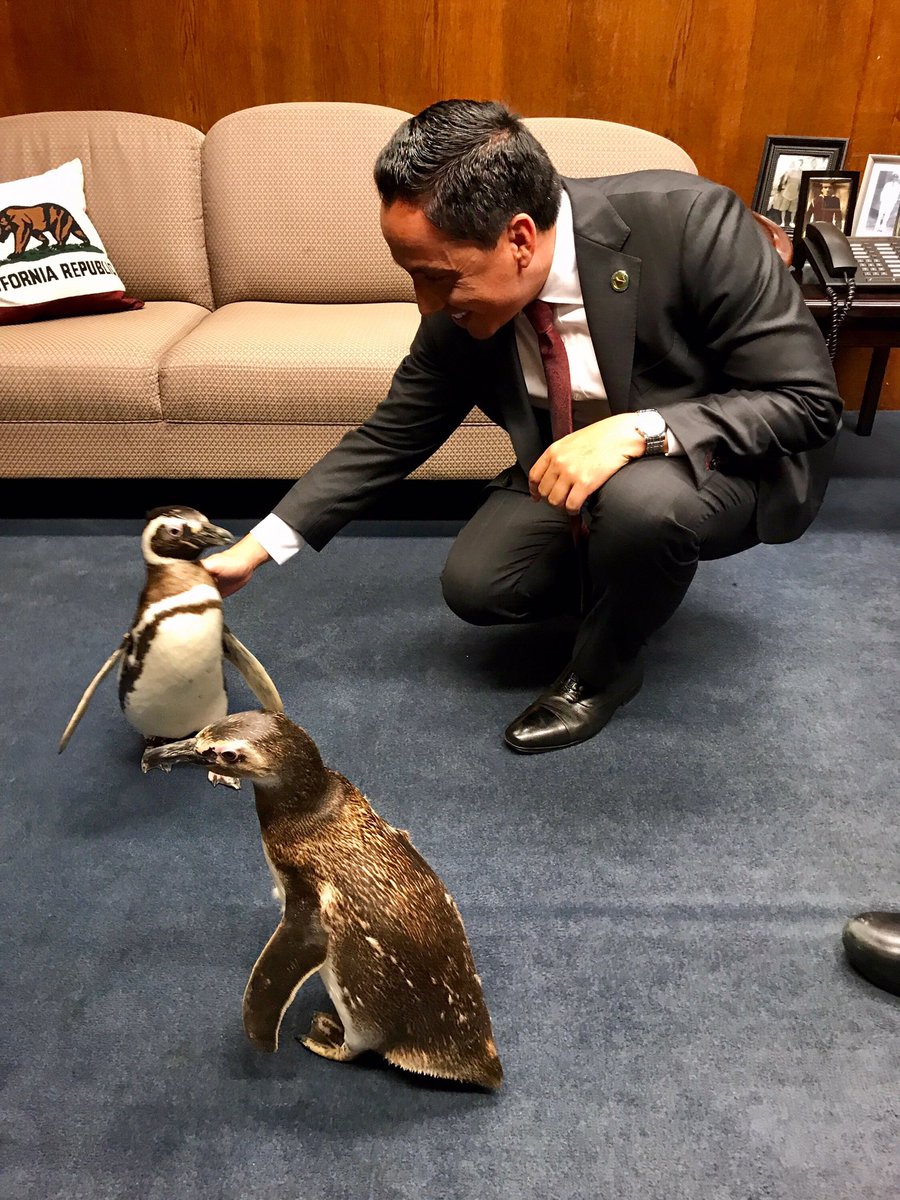 MayorToddGloria tweet picture