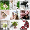 artisanjewelry2's tweet photo. Diane Kordas Social Media Takeover https://t.co/J77uNYdI3V #gemologue #jewellery #blogger #takeover #bali #travel #diamonds https://t.co/wSmPy1Ovpe