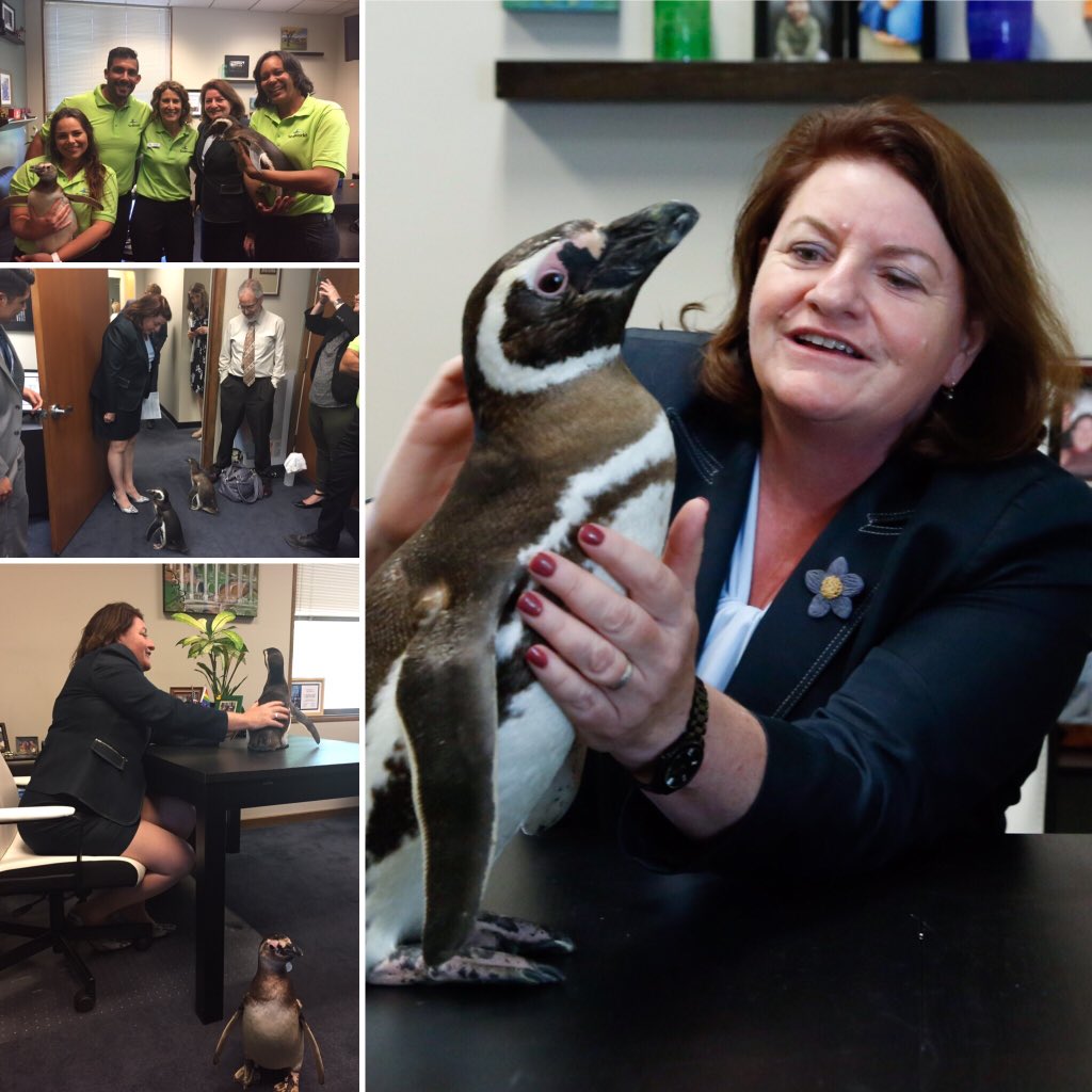 SenToniAtkins tweet picture