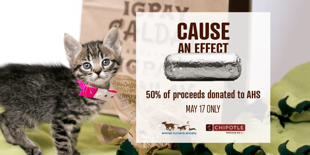 Animal_HumaneMN's tweet photo. TODAY ONLY! 50% goes to AHS when you mention us or show this flyer at checkout: https://t.co/TJsSzivHif #chipotle https://t.co/PvRN5DVzUC