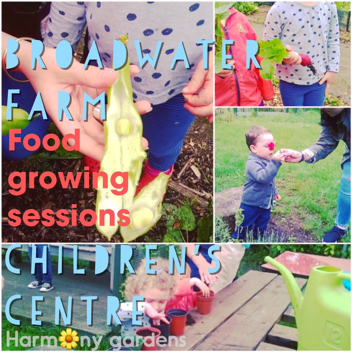 XanaLua1's tweet photo. Wednesday 10-11am Broadwater Farm Children's Centre 
@GrowinHaringey @haringeytoday @broadwaterfarm @HaringeyGreens @cfgn https://t.co/uVxy9QkiDt