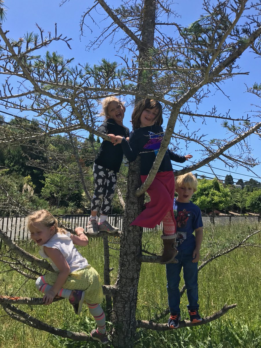 bgcm_p's tweet photo. Youngest TK @bgcm_p  COVE Clubmembers building a fort!! #boysandgirlsclubsofmarinandpetaluma #greatfuturesstarthere #greatfutures #begreat https://t.co/98OYj1P2On