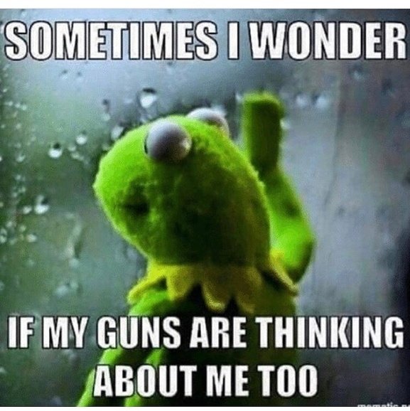 Image result for gunaddict