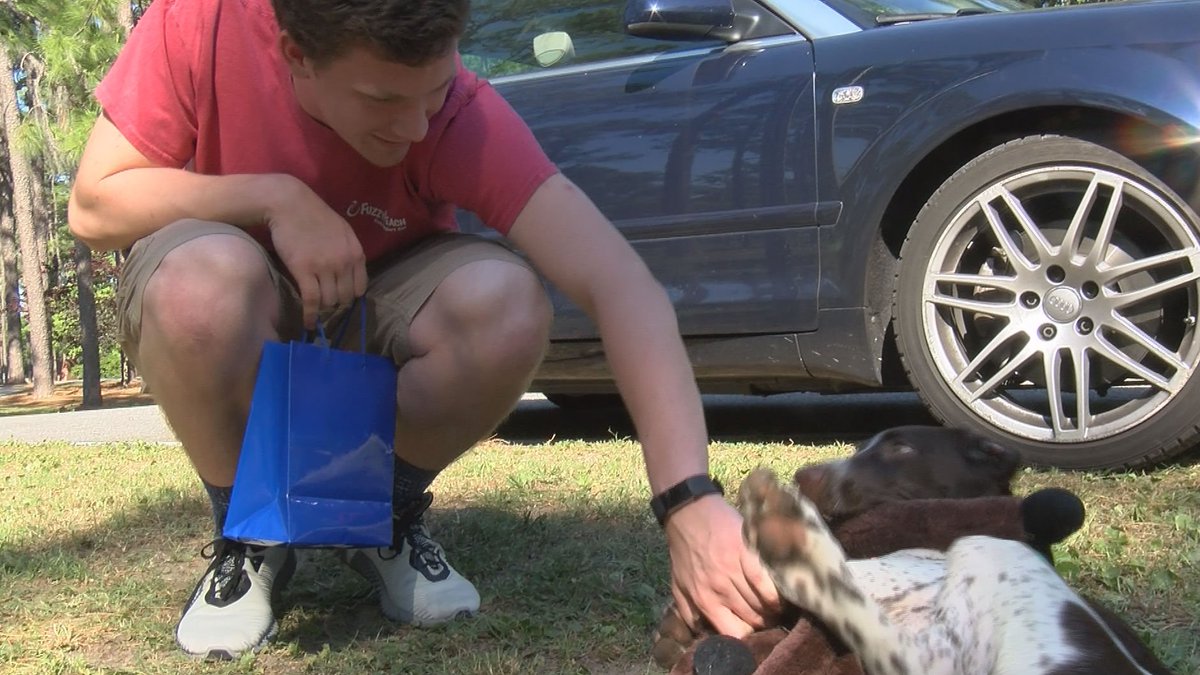 AmandaWECT's tweet image. GOOD NEWS! We found the teen who jumped into traffic to save Siggy the dog! Watch their reunion here: wect.com/story/35455925…