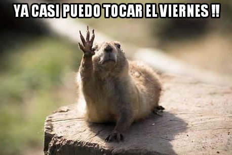 altivasoft's tweet photo. 🎮💪 ¡Aguanten, #Gamers! 🎮💪 #Jueves #CasiViernes #GamerLife #GamerBoy #GamerGirl #Spain #España https://t.co/xWxTZ6vZ8F