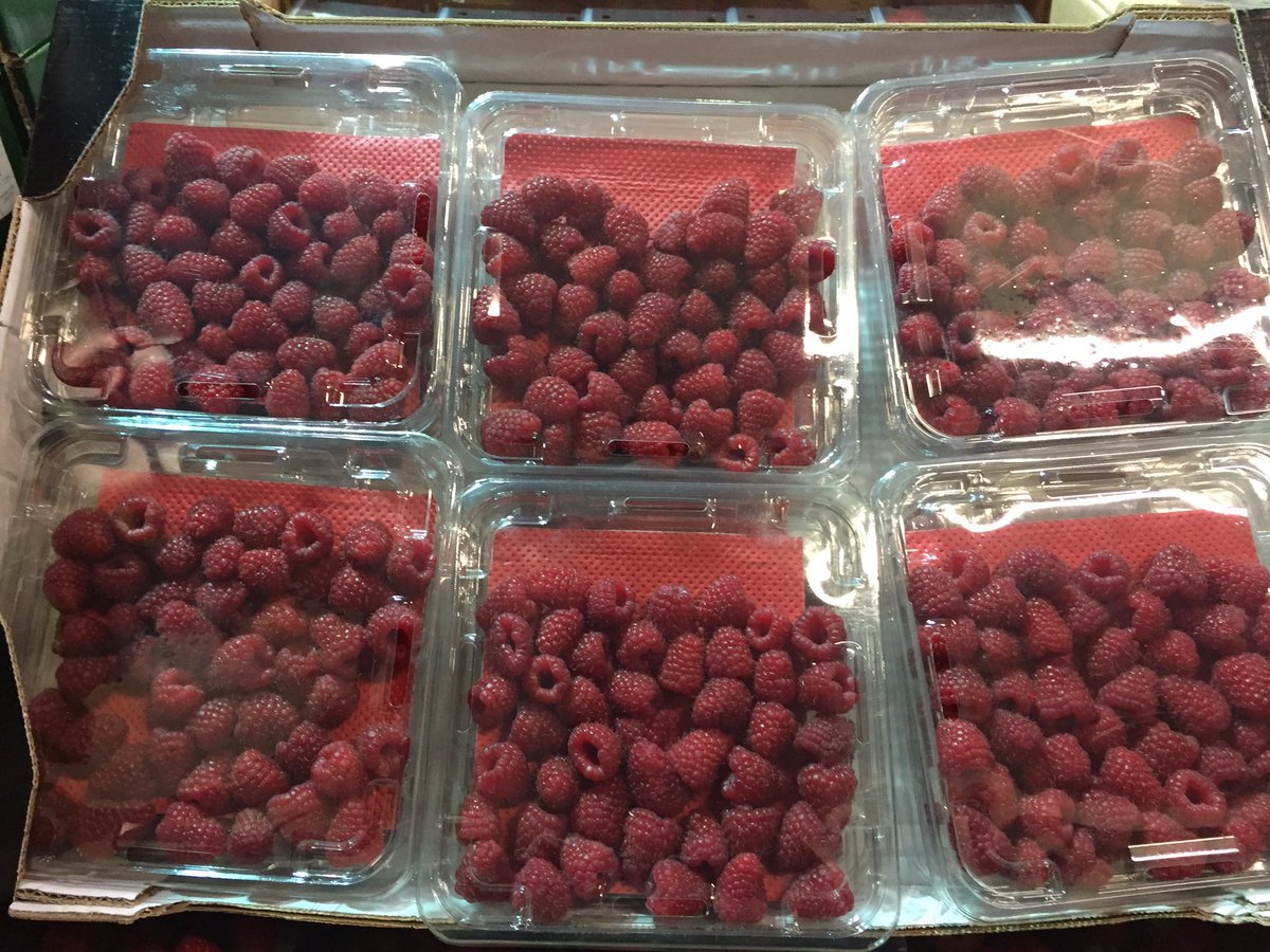 DoleLiverpool's tweet photo. #berrygoodmorning๐๐ https://t.co/JKPDLjPu9a