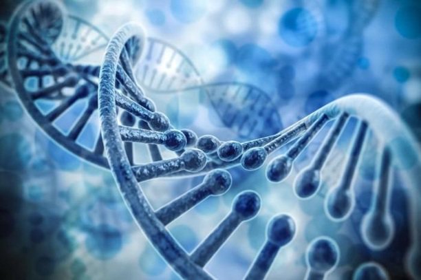 "Intermountain Precision Genomics Announces Cancer Test that Requires Less DNA" ow.ly/zaW030bORFq #genomics #precisionmedicine