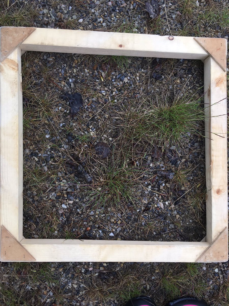 ccbadge's tweet photo. Grade 1 being backyard ecologists at @TELUS_Spark today! @rvssocial #grade1science #needsofplants&amp;animals 🌿🌾🐜🐞 https://t.co/a65yvkFLsy