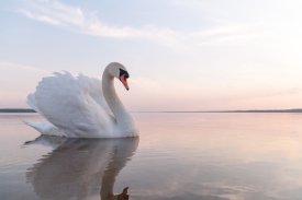 TrainingMindful's tweet photo. "Improve Your Self-Esteem with #Mindfulness #Meditation" https://t.co/b2pnSSNdpS #confidence #healing #selfesteem https://t.co/7yKFrRnGpb