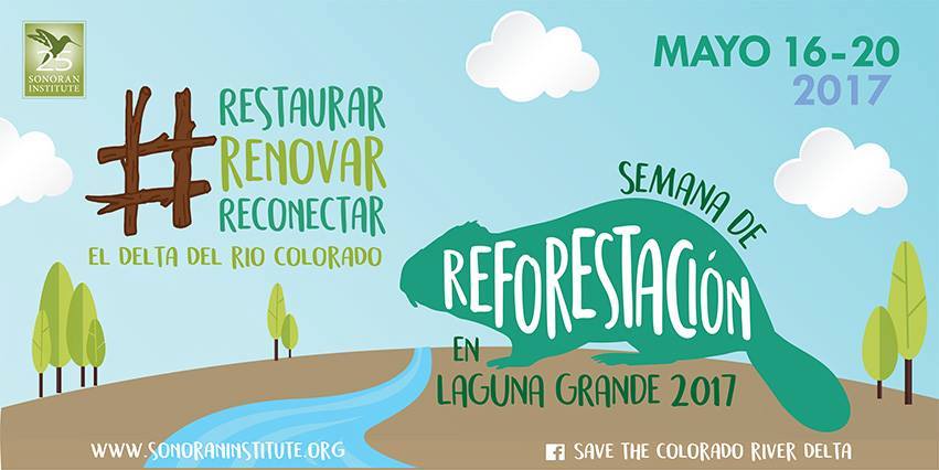 CORiverDelta's tweet photo. It's #restoration week in the #CORiver Delta! Over 200 volunteers will be coming to Laguna Grande May 19-20 to plant 2000 trees! Vámanos! https://t.co/s8OYYLdrLm