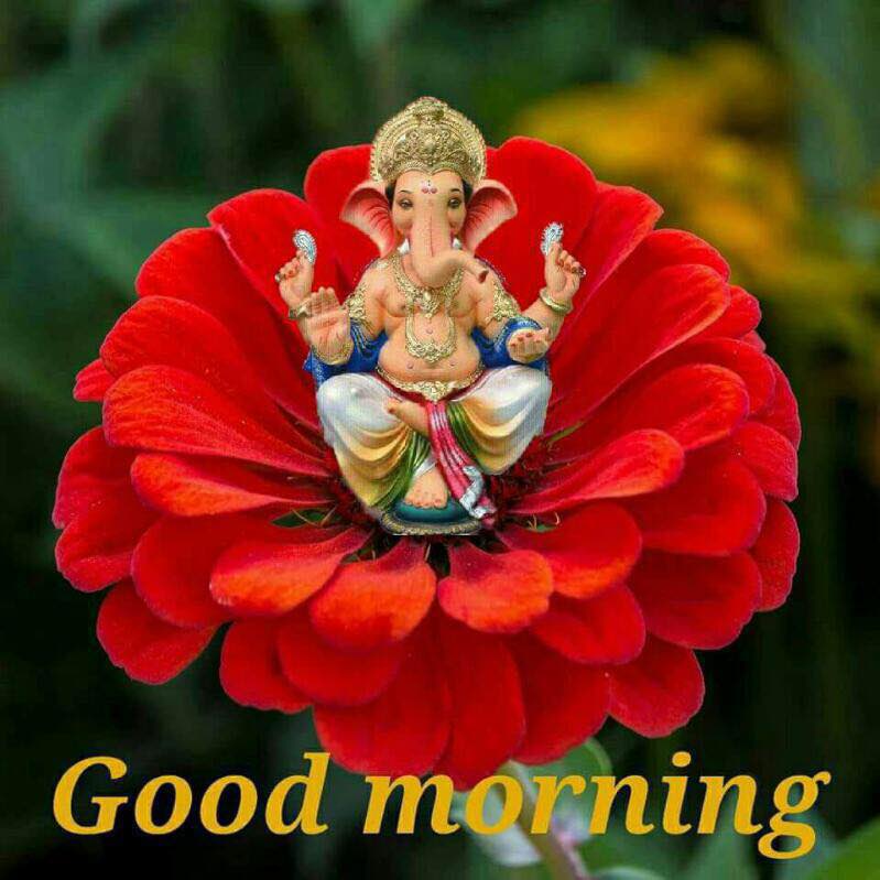 ManjuBhattacha6's tweet photo. Good morning doston https://t.co/e4Ptfji2SF