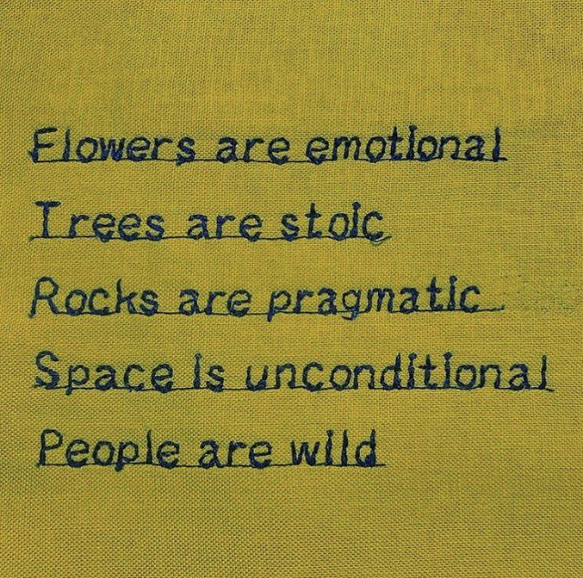 meghan hughes tweet media